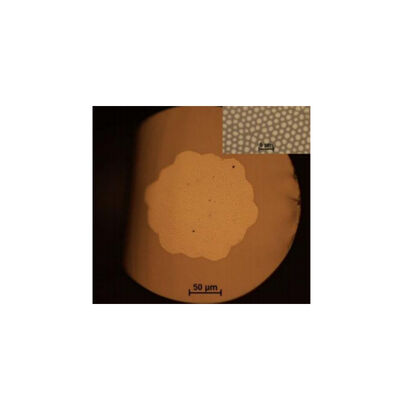 190～1250nm (UV) 300～2400nm (IR) Imaging fibre fiber Multi-core: 3000～100000 Numerical aperture (NA):>0.5